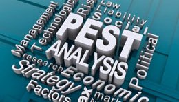Biz Strategy 101: How to do a PEST Analysis